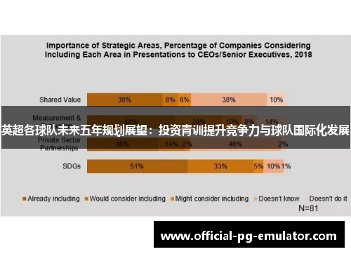 英超各球队未来五年规划展望：投资青训提升竞争力与球队国际化发展