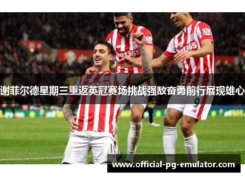 谢菲尔德星期三重返英冠赛场挑战强敌奋勇前行展现雄心