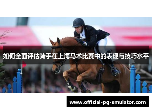 如何全面评估骑手在上海马术比赛中的表现与技巧水平