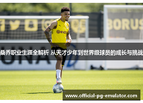 桑乔职业生涯全解析 从天才少年到世界级球员的成长与挑战