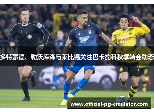 多特蒙德、勒沃库森与莱比锡关注巴卡约科秋季转会动态