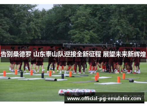告别桑德罗 山东泰山队迎接全新征程 展望未来新辉煌