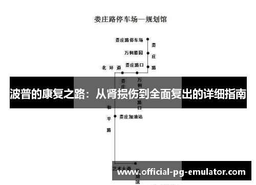 波普的康复之路：从肾损伤到全面复出的详细指南