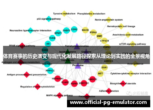 体育赛事的历史演变与现代化发展路径探索从理论到实践的全景视角
