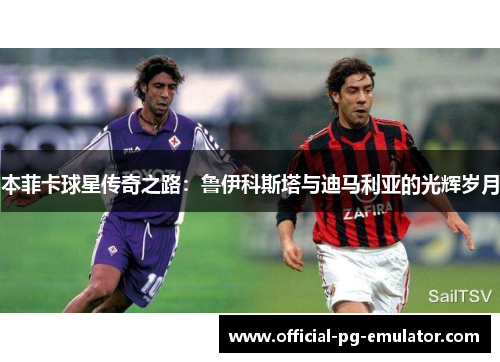 本菲卡球星传奇之路：鲁伊科斯塔与迪马利亚的光辉岁月