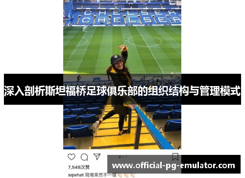 深入剖析斯坦福桥足球俱乐部的组织结构与管理模式