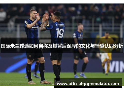国际米兰球迷如何自称及其背后深厚的文化与情感认同分析