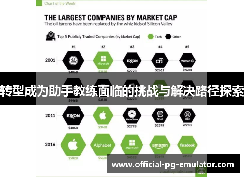转型成为助手教练面临的挑战与解决路径探索