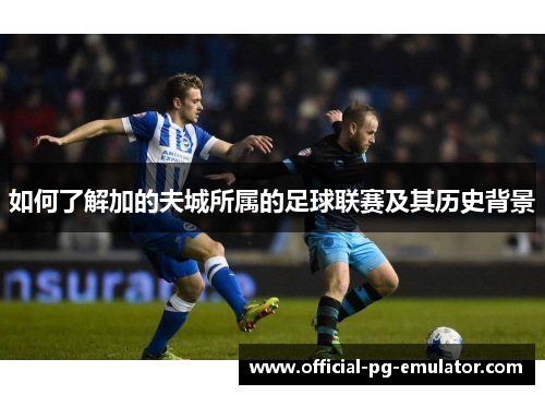 如何了解加的夫城所属的足球联赛及其历史背景