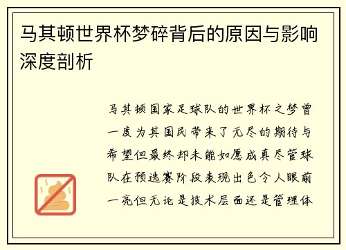马其顿世界杯梦碎背后的原因与影响深度剖析